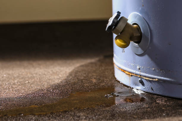 Best Water damage restoration specialists  in Riverside, UT