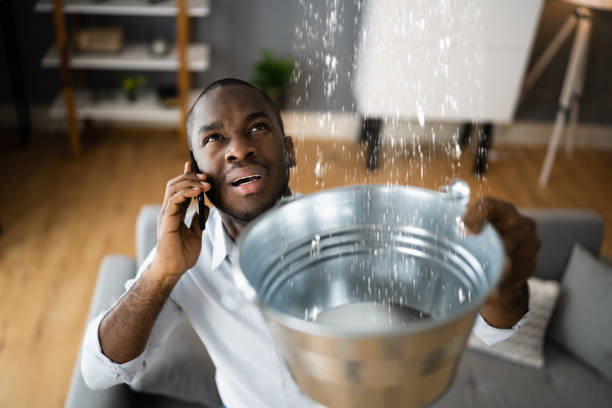 Best Flooded house restoration  in Riverside, UT