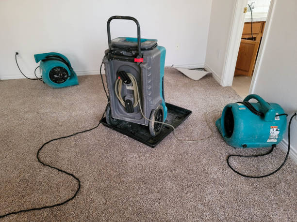 Best Ceiling water damage repair  in Riverside, UT