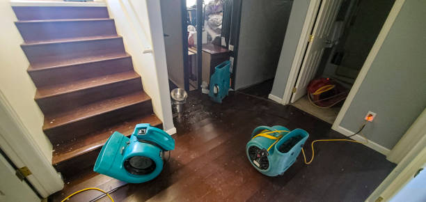Best Residential water damage restoration  in Riverside, UT
