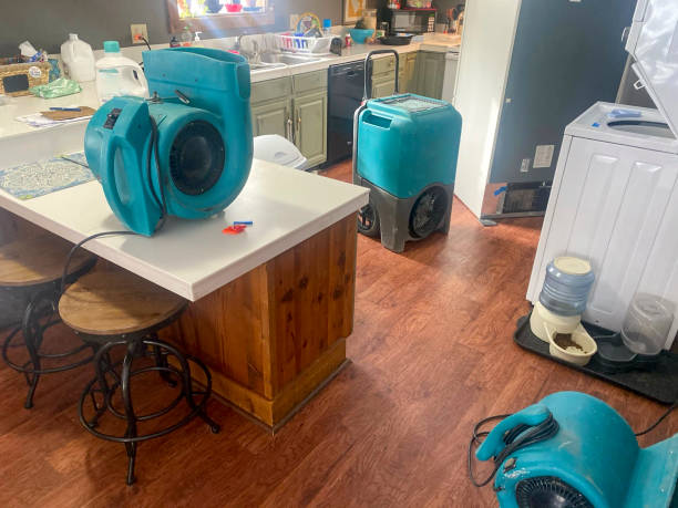 Best Flood damage cleanup  in Riverside, UT
