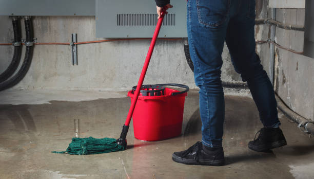 Best Ceiling water damage repair  in Riverside, UT