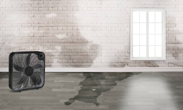 Best Water damage restoration specialists  in Riverside, UT