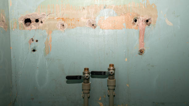 Best Water damage contractors near me  in Riverside, UT