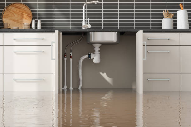 Best Water damage restoration near me  in Riverside, UT