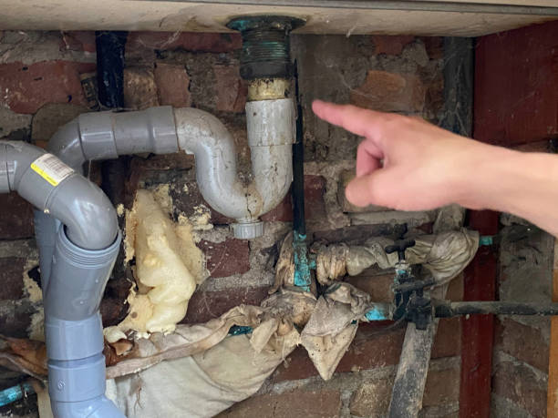 Best Water damage restoration near me  in Riverside, UT