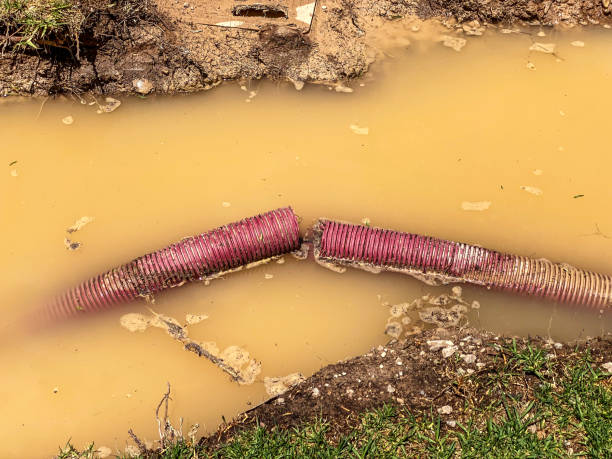 Best Basement water damage restoration  in Riverside, UT