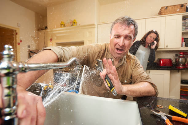 Best Mold removal after water damage  in Riverside, UT